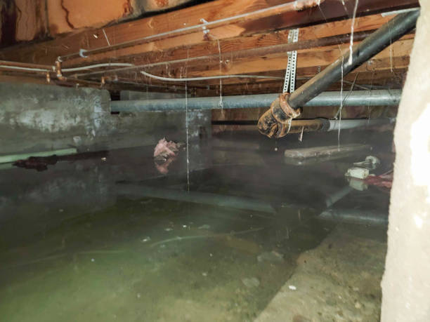  Hope Mills, NC Water damage restoration Pros