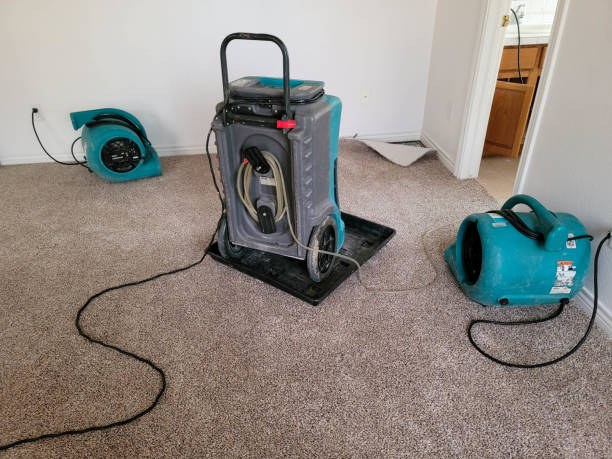 Best Mold removal after water damage  in Hope Mills, NC