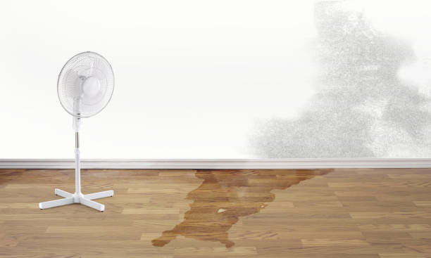 Best Emergency water damage restoration  in Hope Mills, NC