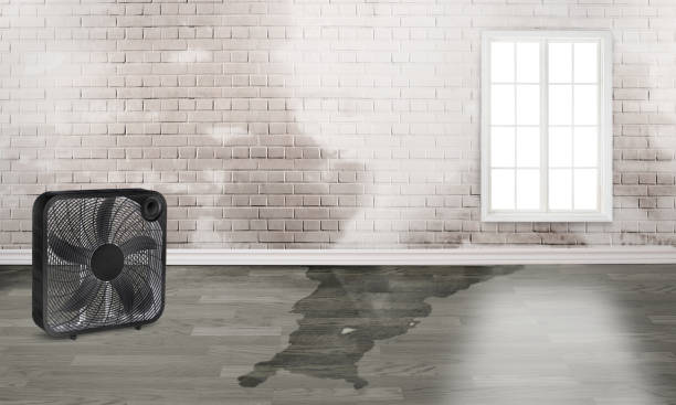 Best Emergency water damage restoration  in Hope Mills, NC