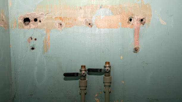 Best Flood damage cleanup  in Hope Mills, NC